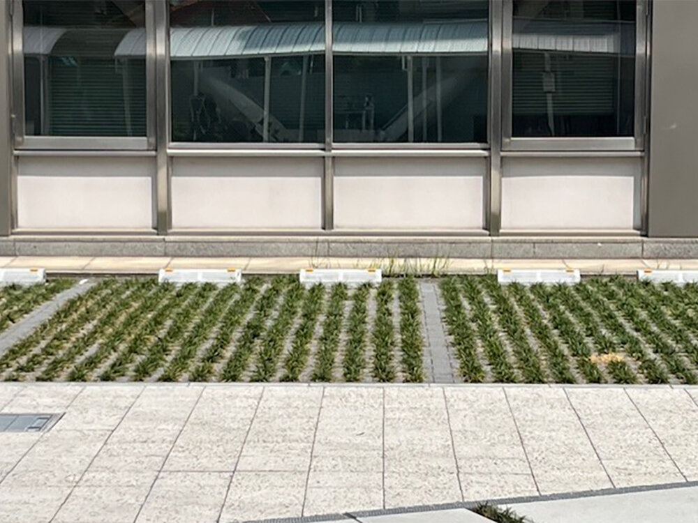 大阪府本庁舎別館