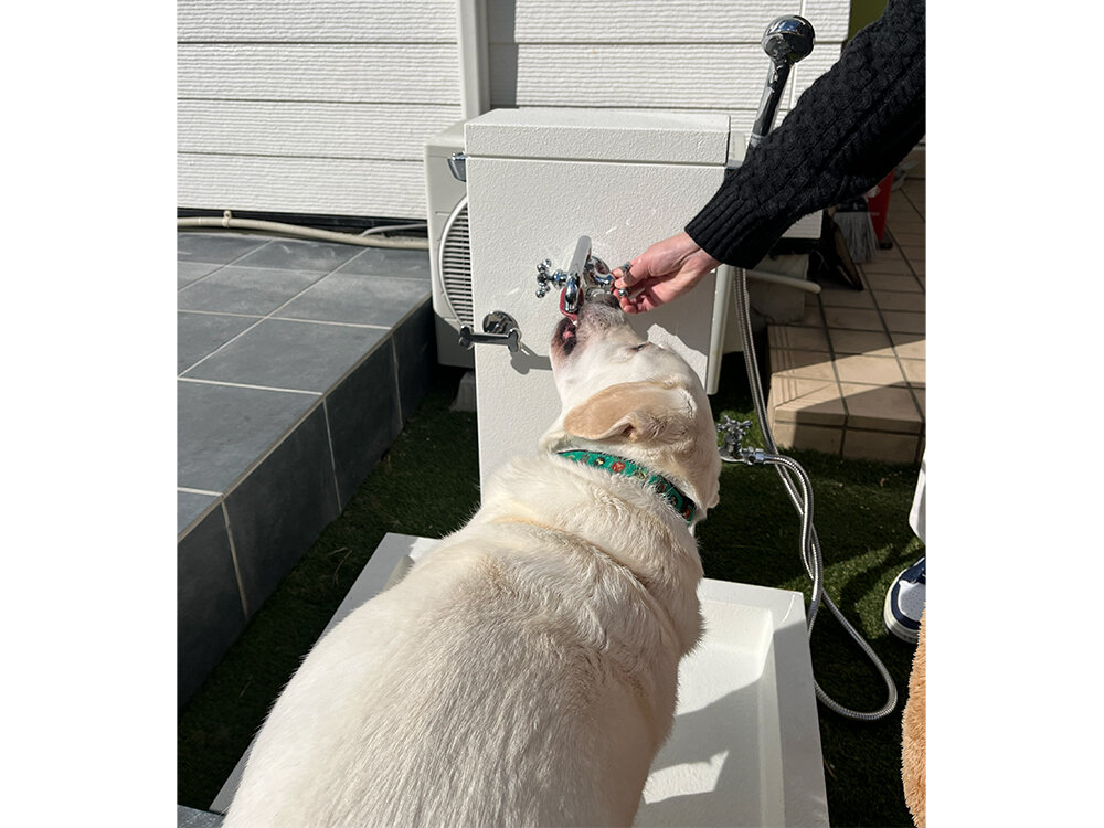 ライフガーデン