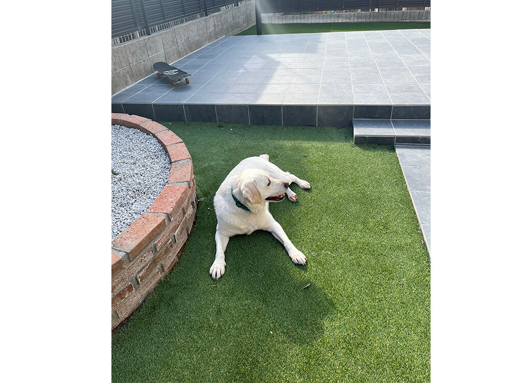 ライフガーデン