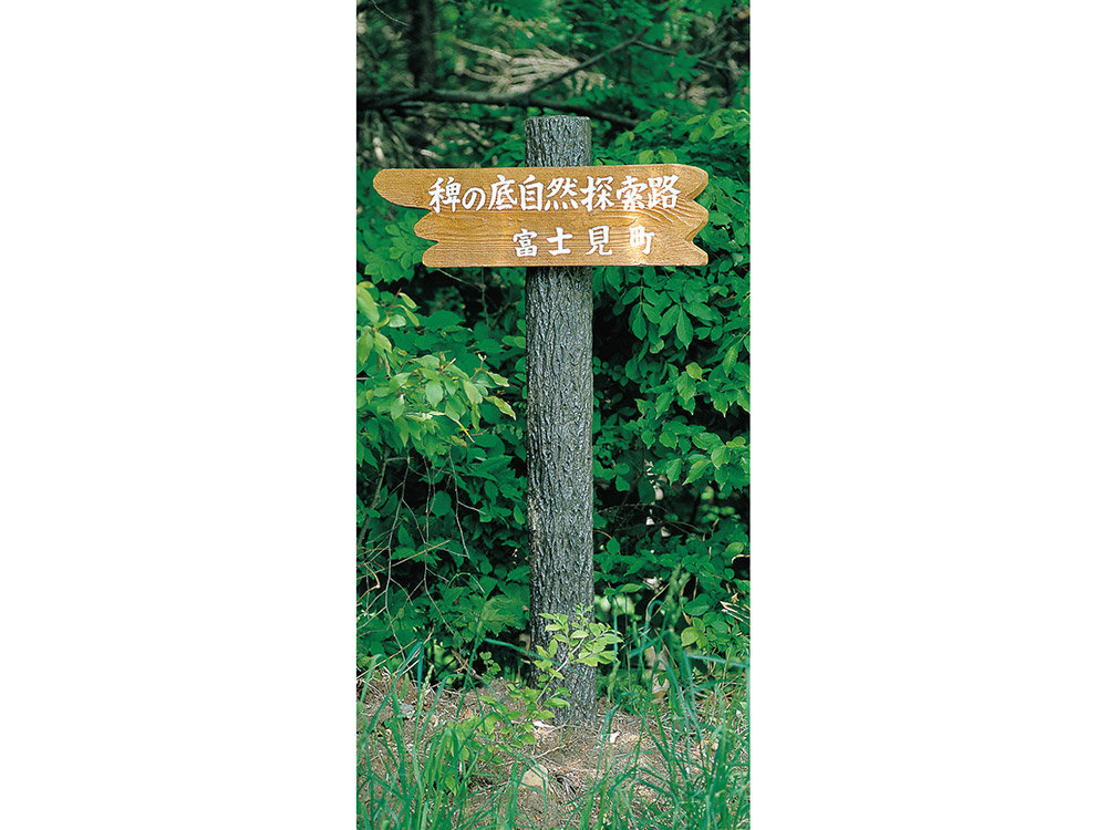 支柱型